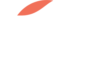 schneider